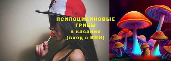 крисы Пересвет