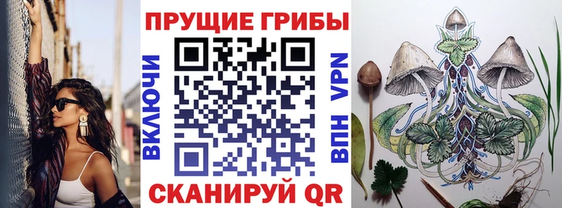 Галлюциногенные грибы Cubensis закладки ссылка на мегу ссылка Аксай