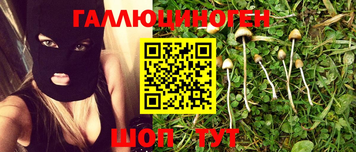 Псилоцибиновые грибы прущие грибы  Вход с VPN  Аксай 